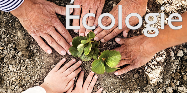 Illustration de l'article L'écologie à Saint-Cloud