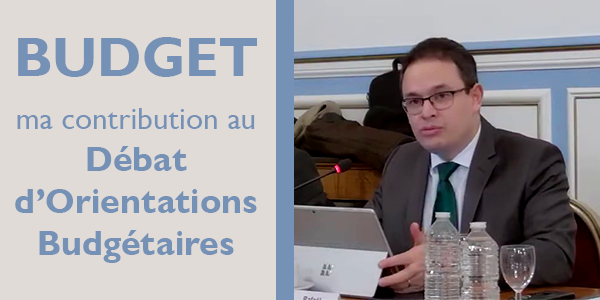 Illustration de l'article : Débat d'orientations budgétaires 2025