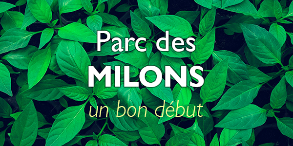 Illustration de l'article : Parc des Milons : un bon début